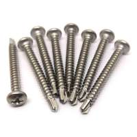 SS 304 316 Stainless Steel Pan Head Self Drilling Screw